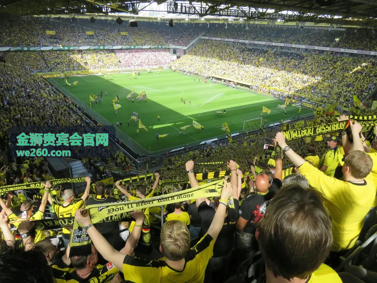 金狮贵宾会官网专属体验场景